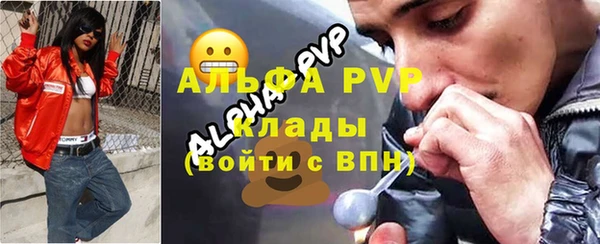 СК Богородск
